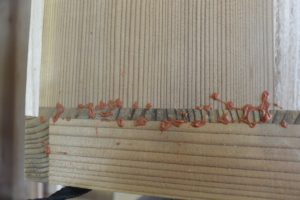 三つ重ね整理箪笥から北欧ビンテージ調チェスト二竿とTVボードに改造